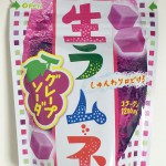 セブンネオン マンボ菓子 丸義製菓 ラムネマニア